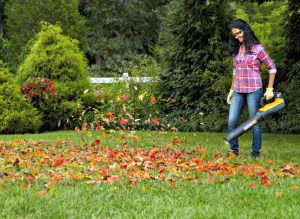 Best Battery Operated Leaf Blowers