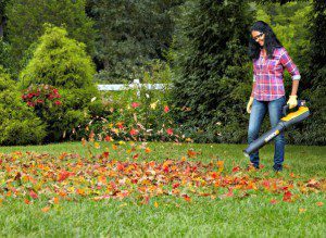 Best Battery Operated Leaf Blowers 2023 - title image