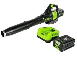 Best Battery Operated Leaf Blowers 2020: Greenworks PRO 80V Jet Blower