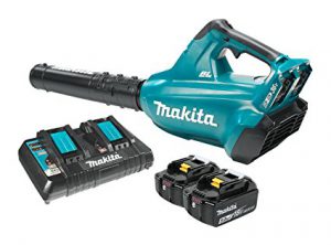 Best Battery Operated Leaf Blowers 2020: Makita XBU02Z 18V X2 LXT Lithium-Ion (36V) Brushless Cordless Blower