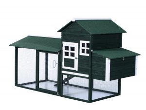 Chicken coop for 4 chickens: Best Reviews Chicken Coops