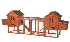 8 Best Chicken Coops For 4 Chickens 2019