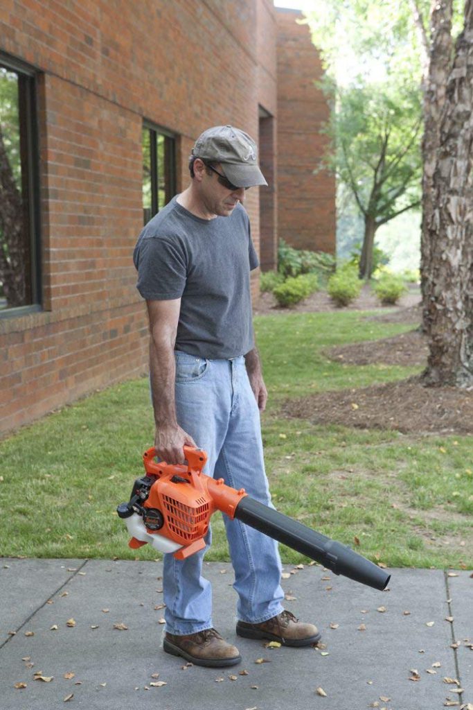 12 Best Gas Powered Leaf Blowers 2024 Best Backyard Gear