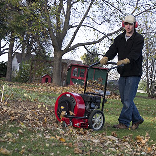 12 Best Gas Powered Leaf Blowers 2025 | Best Backyard Gear