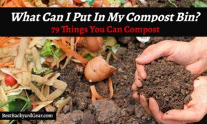 what can i put in my compost bin post title image