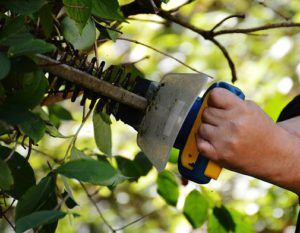 Best Battery Powered Hedge Trimmers 2020