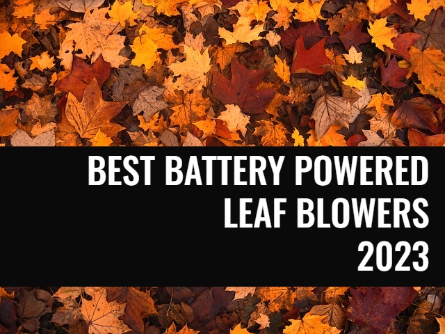best battery powered leaf blowers 2023 title image
