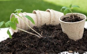 thick, rich soil with garden pots