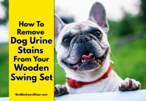 how to get rid of dog pee stains from your wooden swing set