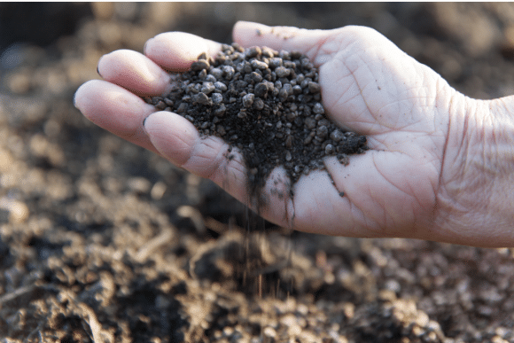 farmers hand dropping chicken manure on soil