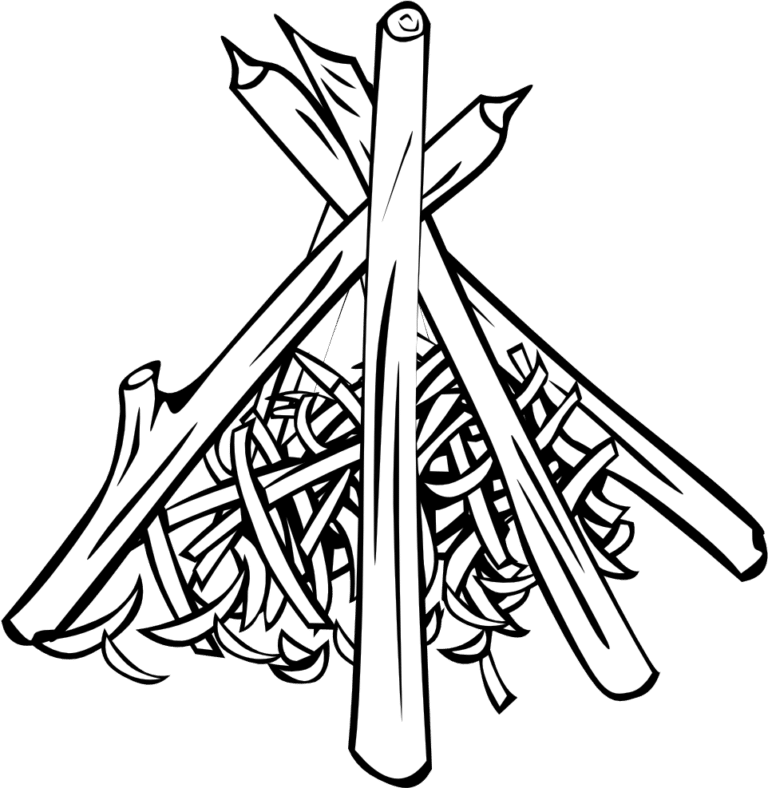 The Art Of Fire What Makes Good Kindling? Best Backyard Gear