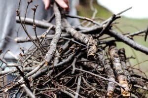 kindling piles of twigs